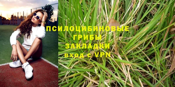 apvp Абаза